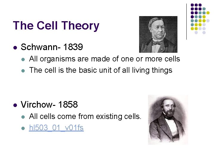 The Cell Theory l Schwann- 1839 l l l All organisms are made of