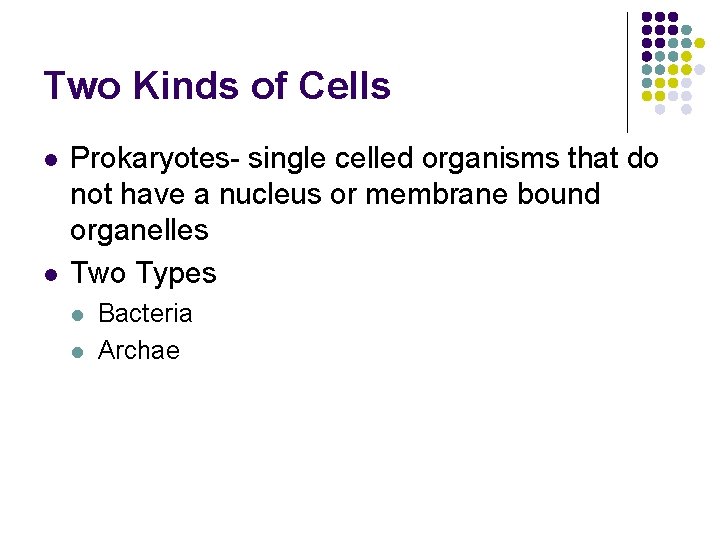 Two Kinds of Cells l l Prokaryotes- single celled organisms that do not have