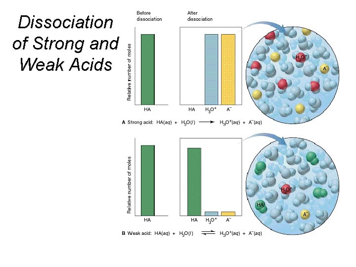 Dissociation of Strong and Weak Acids 