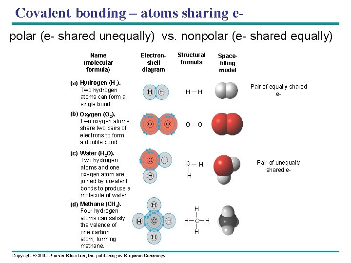 Covalent bonding – atoms sharing epolar (e- shared unequally) vs. nonpolar (e- shared equally)