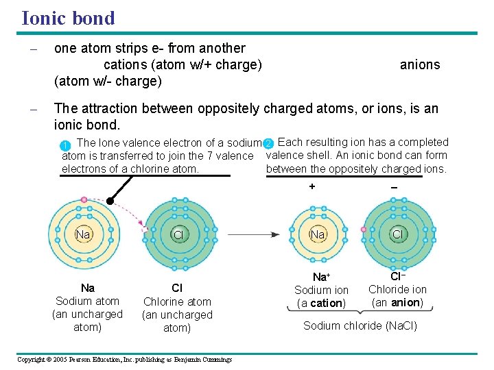 Ionic bond – – one atom strips e- from another cations (atom w/+ charge)
