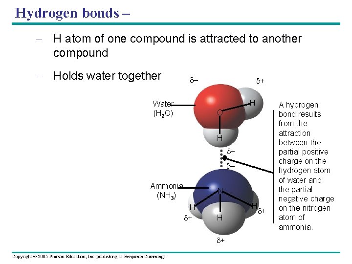 Hydrogen bonds – – H atom of one compound is attracted to another compound