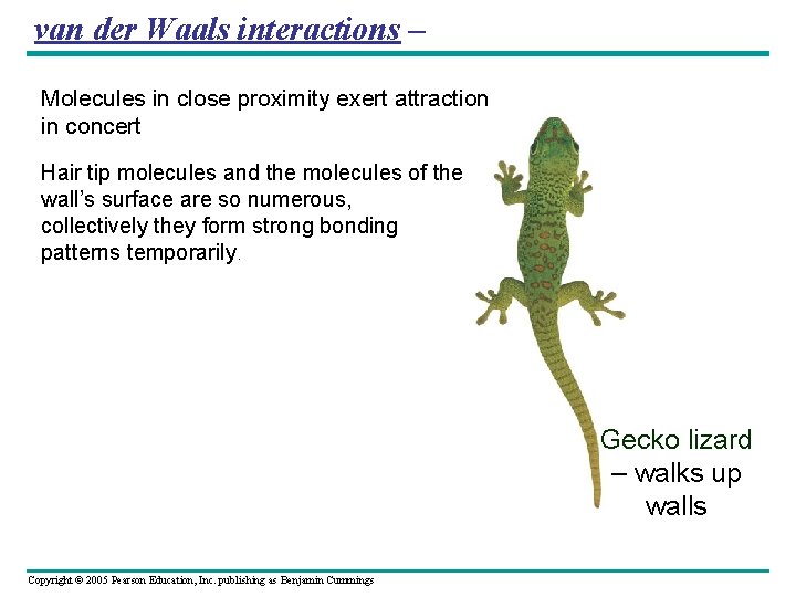 van der Waals interactions – Molecules in close proximity exert attraction in concert Hair