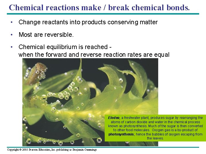 Chemical reactions make / break chemical bonds. • Change reactants into products conserving matter