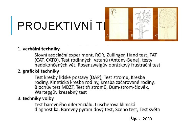 PROJEKTIVNÍ TECHNIKY Šípek, 2000 