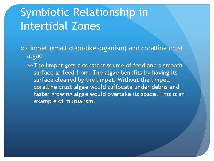 Symbiotic Relationship in Intertidal Zones Limpet (small clam-like organism) and coralline crust algae The