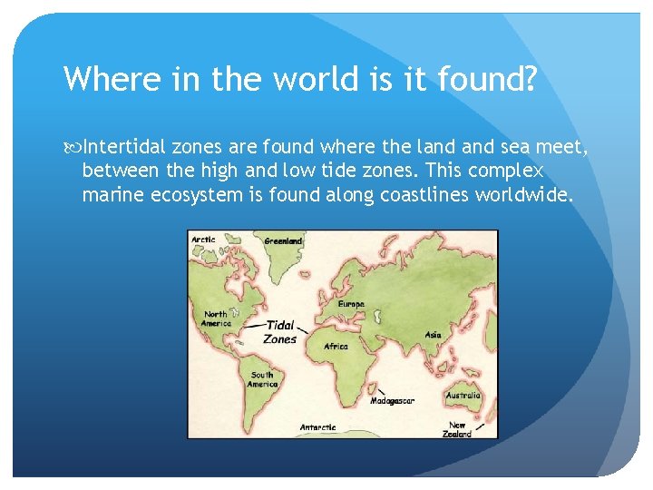 Where in the world is it found? Intertidal zones are found where the land