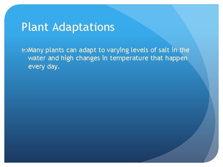 Plant Adaptations Many plants can adapt to varying levels of salt in the water