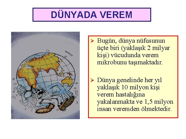 DÜNYADA VEREM Ø Bugün, dünya nüfusunun üçte biri (yaklaşık 2 milyar kişi) vücudunda verem