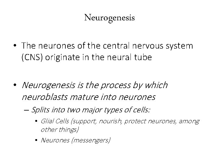 Neurogenesis • The neurones of the central nervous system (CNS) originate in the neural