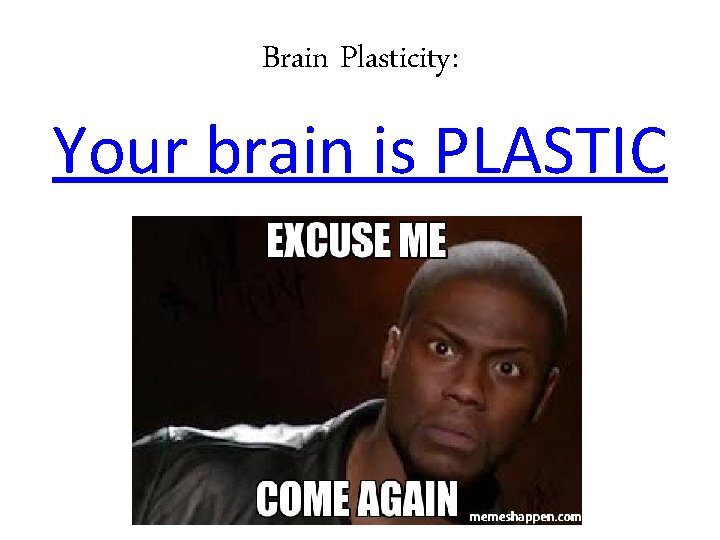 Brain Plasticity: Your brain is PLASTIC 