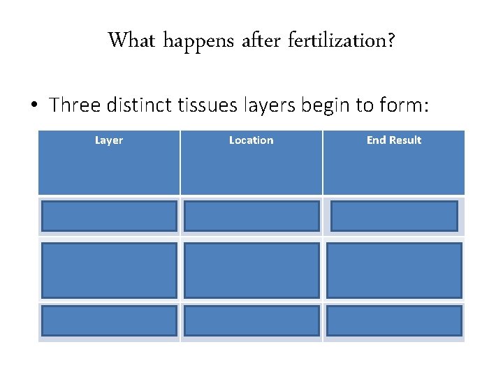 What happens after fertilization? • Three distinct tissues layers begin to form: Layer Location