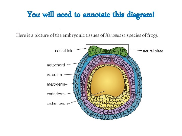 You will need to annotate this diagram! 
