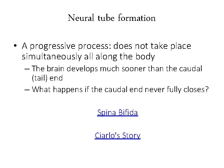 Neural tube formation • A progressive process: does not take place simultaneously all along