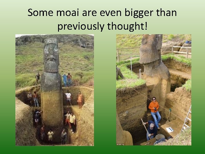 Some moai are even bigger than previously thought! 