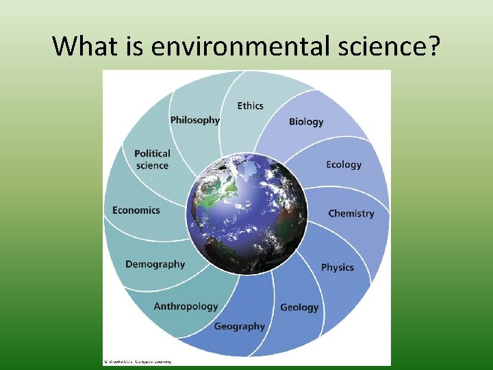 What is environmental science? 