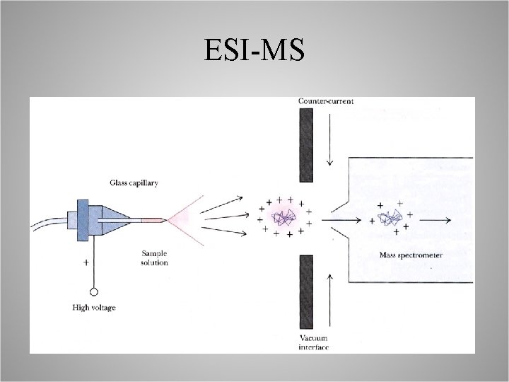 ESI-MS 