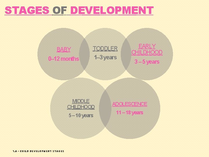 STAGES OF DEVELOPMENT BABY TODDLER 0– 12 months 1– 3 years MIDDLE CHILDHOOD 5