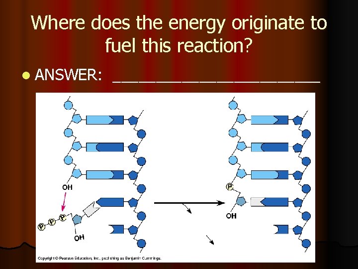 Where does the energy originate to fuel this reaction? l ANSWER: ____________ 