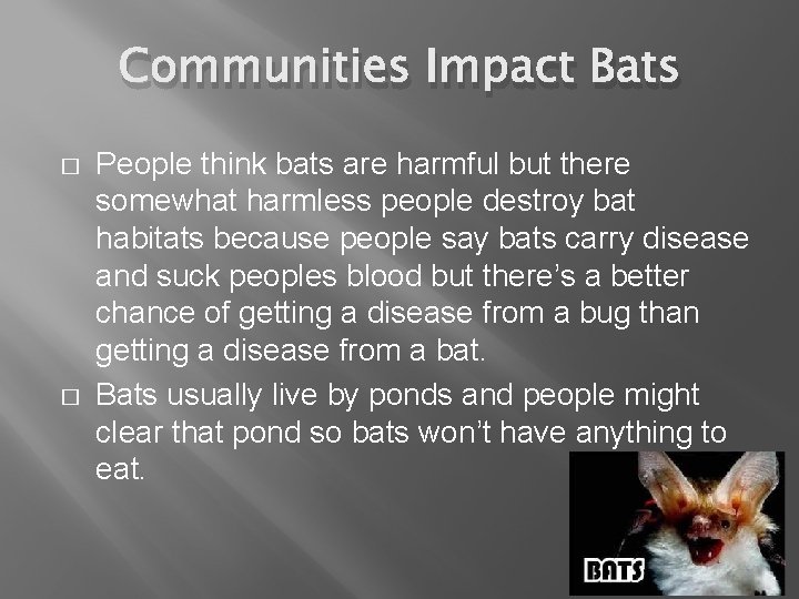 Communities Impact Bats � � People think bats are harmful but there somewhat harmless