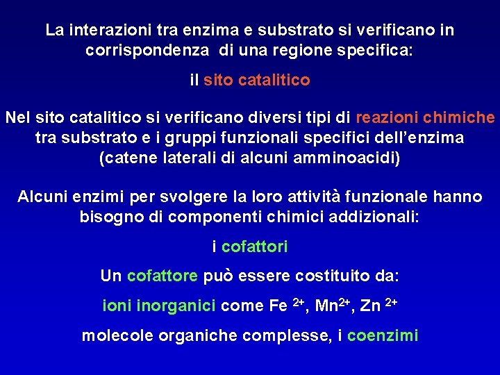 La interazioni tra enzima e substrato si verificano in corrispondenza di una regione specifica:
