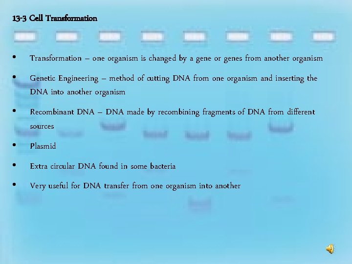 13 -3 Cell Transformation • Transformation – one organism is changed by a gene