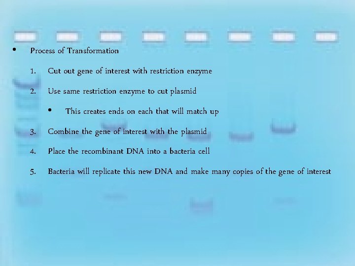  • Process of Transformation 1. Cut out gene of interest with restriction enzyme
