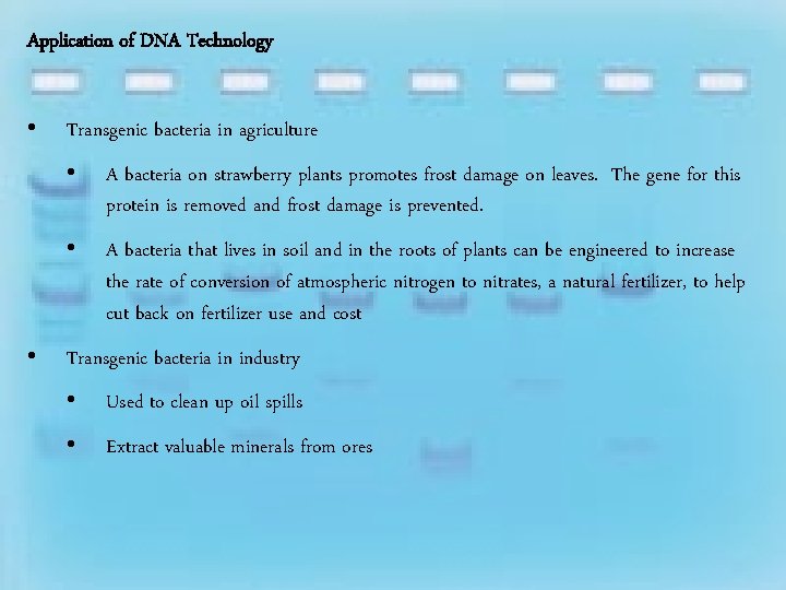 Application of DNA Technology • • Transgenic bacteria in agriculture • A bacteria on