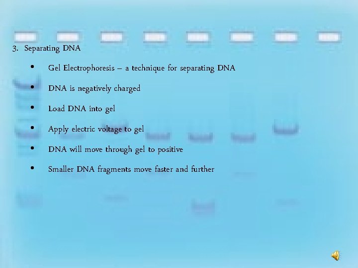 3. Separating DNA • Gel Electrophoresis – a technique for separating DNA • DNA