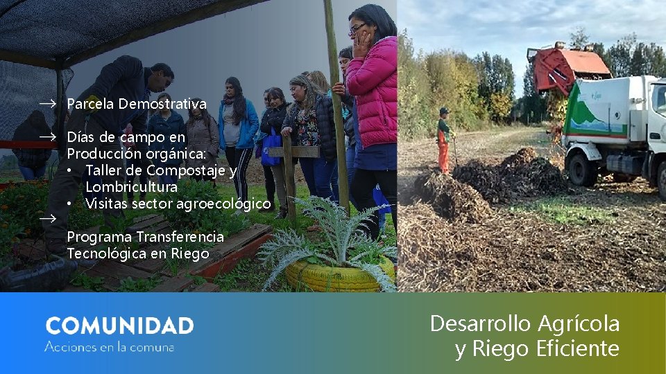 Parcela Demostrativa Días de campo en Producción orgánica: • Taller de Compostaje y Lombricultura