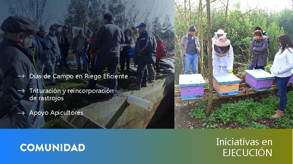 Días de Campo en Riego Eficiente Trituración y reincorporación de rastrojos Apoyo Apicultores Iniciativas