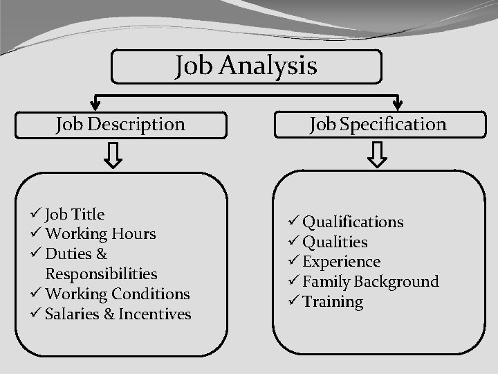 Job Analysis Job Description Job Title Working Hours Duties & Responsibilities Working Conditions Salaries