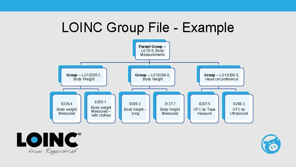 LOINC Group File - Example Parent Group – LG 70 -5, Body Measurements Group