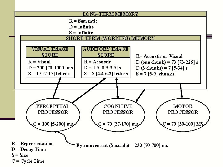 LONG-TERM MEMORY R = Semantic D = Infinite SHORT-TERM (WORKING) MEMORY VISUAL IMAGE STORE