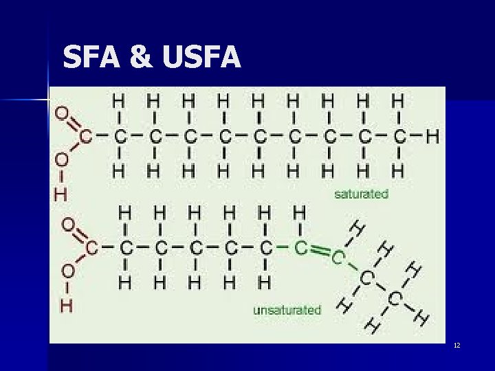 SFA & USFA 12 