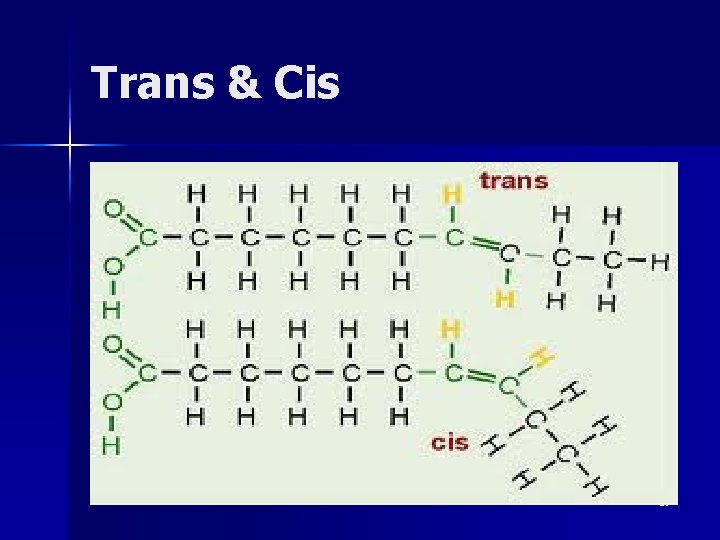 Trans & Cis 26 