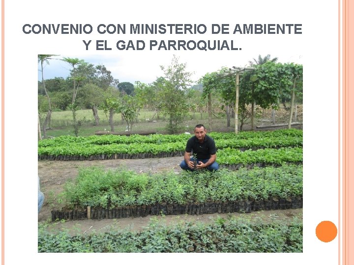 CONVENIO CON MINISTERIO DE AMBIENTE Y EL GAD PARROQUIAL. 