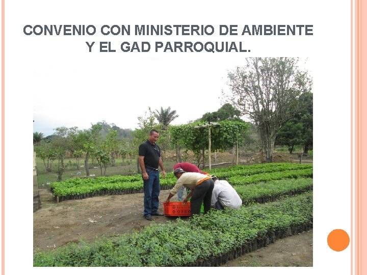 CONVENIO CON MINISTERIO DE AMBIENTE Y EL GAD PARROQUIAL. 