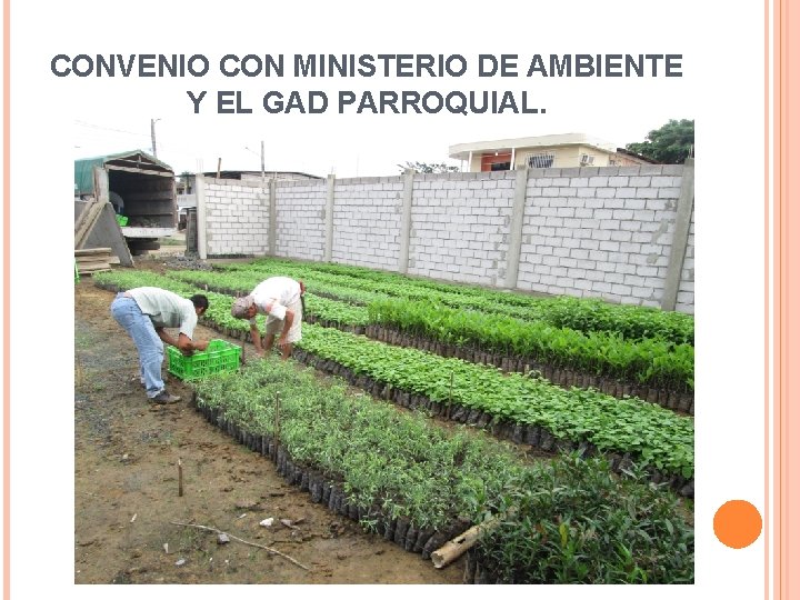 CONVENIO CON MINISTERIO DE AMBIENTE Y EL GAD PARROQUIAL. 