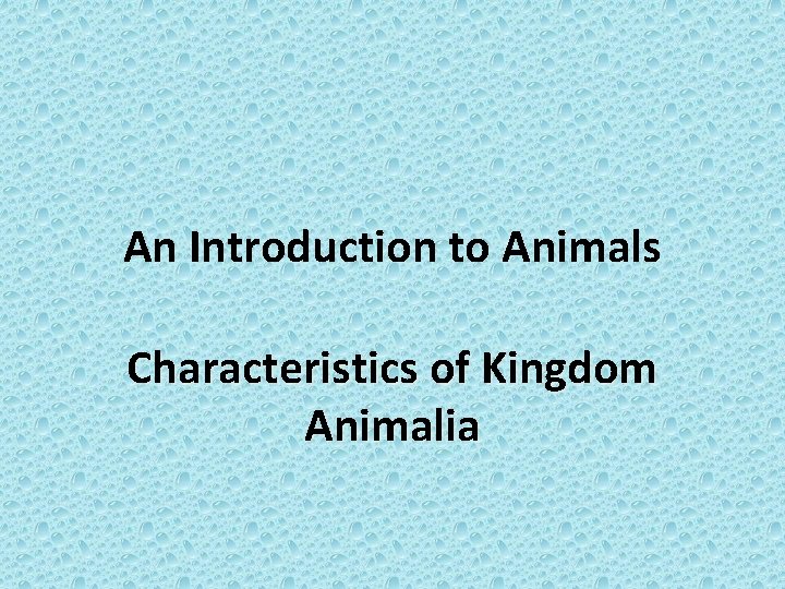 An Introduction to Animals Characteristics of Kingdom Animalia 