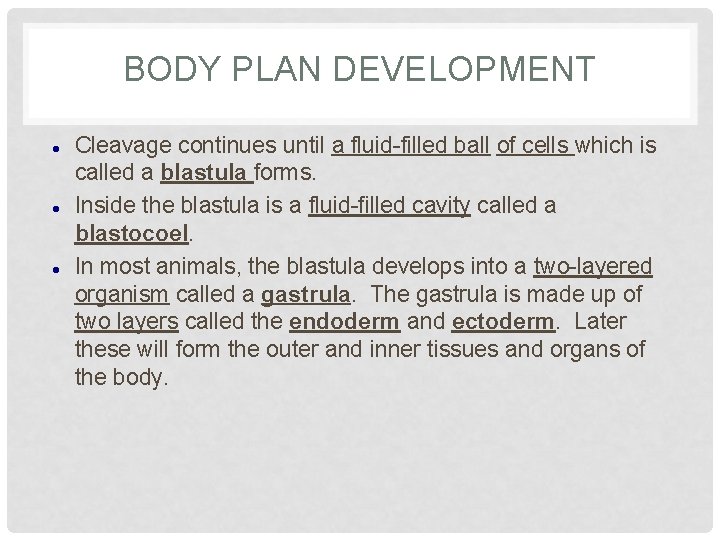 BODY PLAN DEVELOPMENT Cleavage continues until a fluid-filled ball of cells which is called