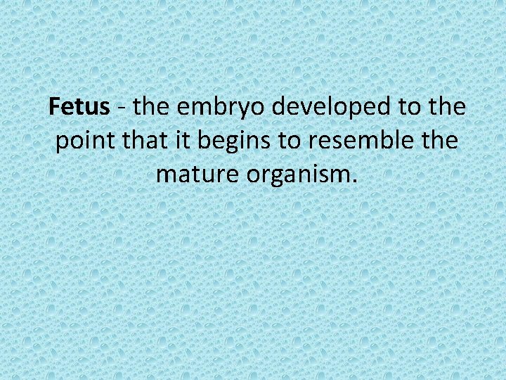 Fetus - the embryo developed to the point that it begins to resemble the