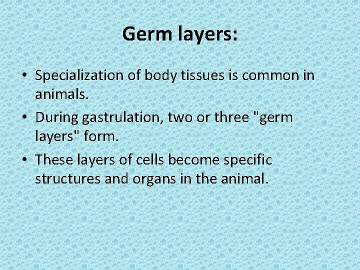Germ layers: • Specialization of body tissues is common in animals. • During gastrulation,