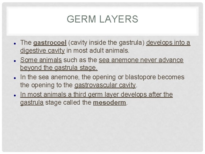 GERM LAYERS The gastrocoel (cavity inside the gastrula) develops into a digestive cavity in