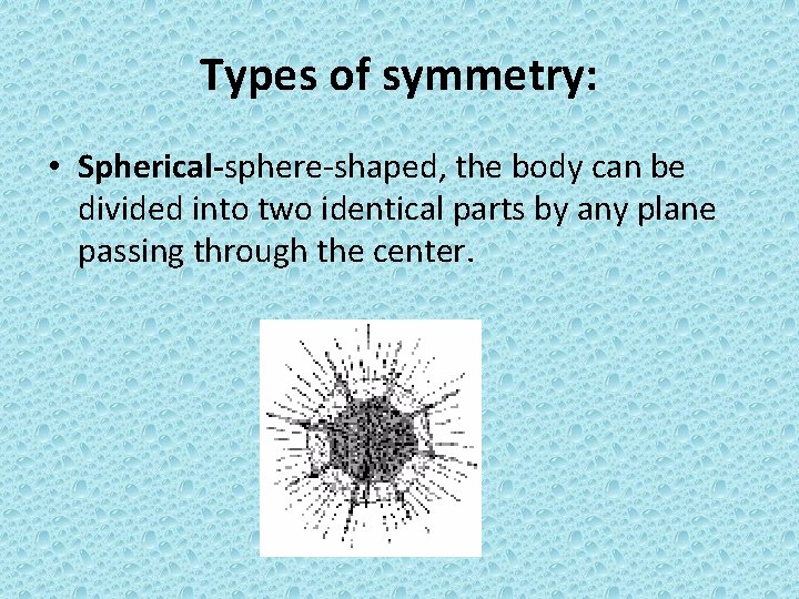 Types of symmetry: • Spherical-sphere-shaped, the body can be divided into two identical parts