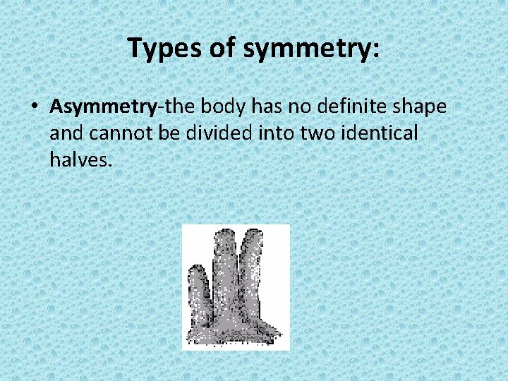 Types of symmetry: • Asymmetry-the body has no definite shape and cannot be divided
