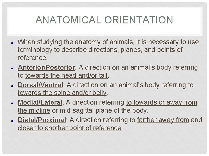 ANATOMICAL ORIENTATION When studying the anatomy of animals, it is necessary to use terminology