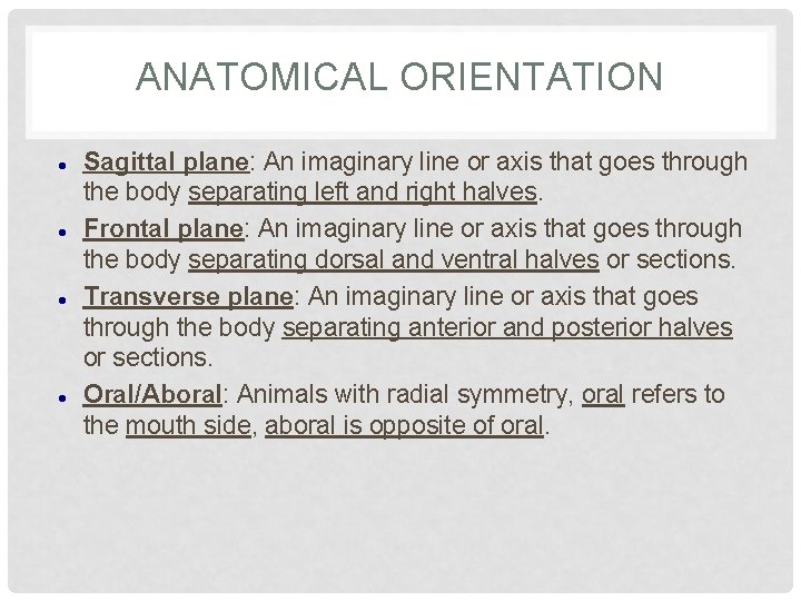 ANATOMICAL ORIENTATION Sagittal plane: An imaginary line or axis that goes through the body