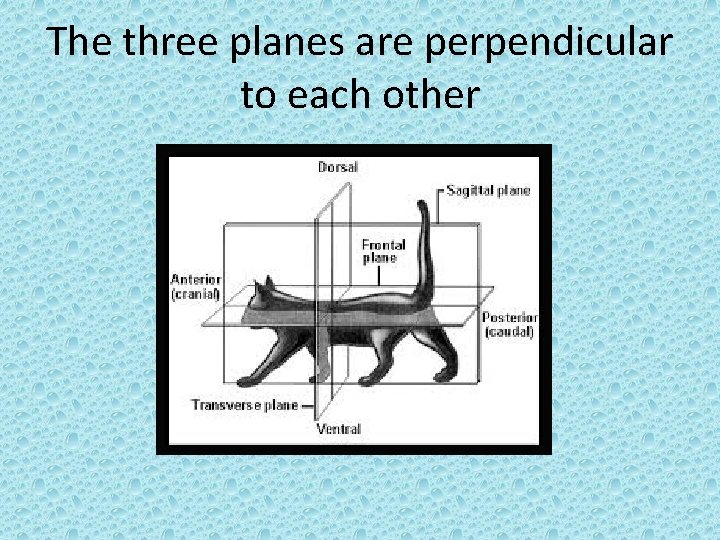 The three planes are perpendicular to each other 