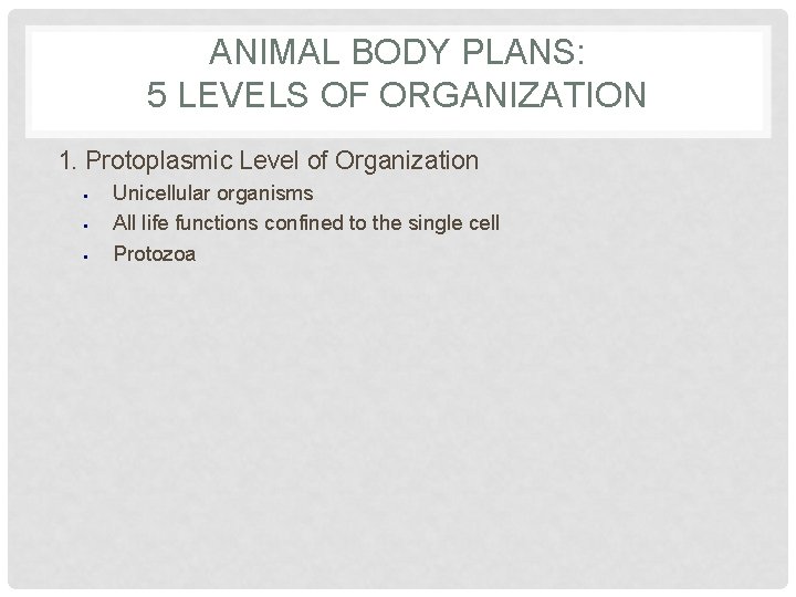 ANIMAL BODY PLANS: 5 LEVELS OF ORGANIZATION 1. Protoplasmic Level of Organization § §